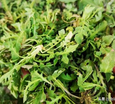 荠菜炒鸡蛋的家常做法（长期保存荠菜的最佳方法）