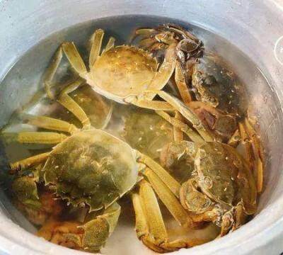 活螃蟹保鲜可以放几天（保存螃蟹的技巧正确方法）
