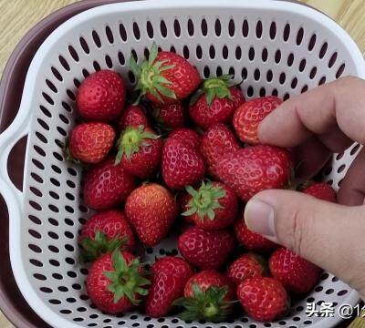 草莓能不能放冰箱里冷藏（不适合放冰箱的6种食物）