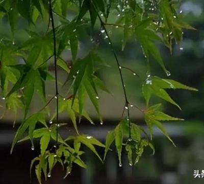 几月份是梅雨季节时间（梅雨家里除湿气的好方法）