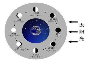 小学月相变化规律口诀残月（月相变化规律的记忆口诀）