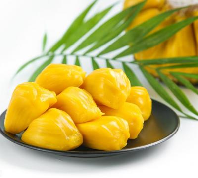 广东菠萝蜜几月份成熟上市（菠萝蜜一天最多吃几颗）