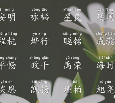 瑞字取名寓意及含义男孩（寓意有才华的男孩名字）